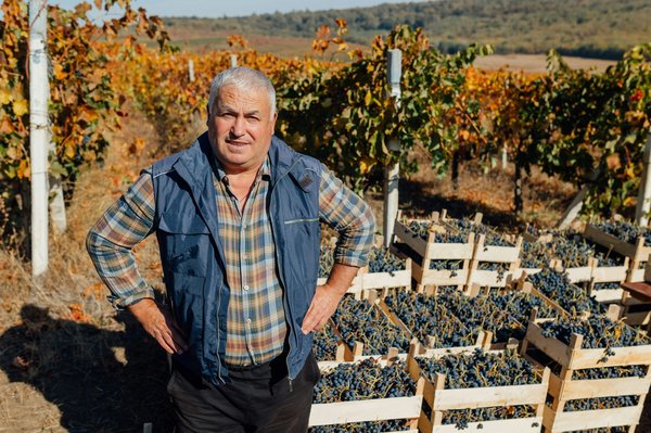 Récupération de données : l'importance de faire appel à un expert